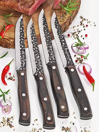 ZASSENHAUS | Steakmesser Set 4tlg. HUNTER Pakkaholz | 